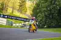 Evening Low_Mid Group Yellow Bikes